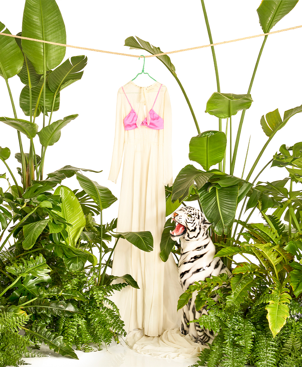 2024_archivio “jungle fever” - forte_forte