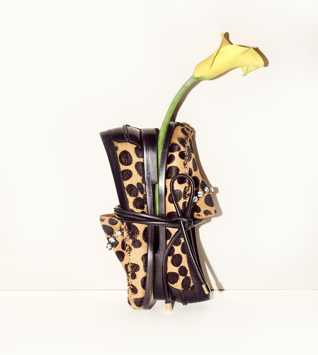 [object Object] | forte_forte